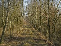 NL, Noord-Brabant, Valkenswaard, Grevenschutsven 2, Saxifraga-Jan van der Straaten