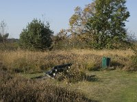 NL, Noord-Brabant, Valkenswaard, Malpiebergsche heide 10, Saxifraga-Jan van der Straaten