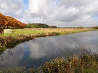 NL, Noord-Brabant, Valkenswaard, Patersgronden 2, Saxifraga-Tom Heijnen