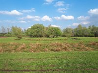 NL, Noord-Brabant, Valkenswaard, Patersgronden 8, Saxifraga-Tom Heijnen