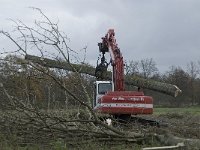 NL, Noord-Brabant, Valkenswaard, Pelterheggen 32, Saxifraga-Jan van der Straaten