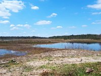 NL, Noord-Brabant, Valkenswaard, Plateaux-Hageven 21, Saxifraga-Tom Heijnen