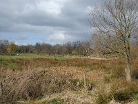 NL, Noord-Brabant, Valkenswaard, Schaftse Brug 2, Saxifraga-Jan van der Straaten