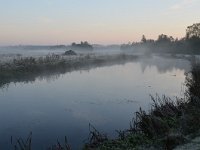 NL, Noord-Brabant, Valkenswaard, Tongelreep in Patersgronden 2, Saxifraga-Tom Heijnen