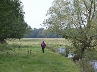 NL, Noord-Brabant, Valkenswaard, Tongelreep in Patersgronden 3, Saxifraga-Tom Heijnen