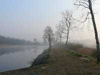 NL, Noord-Brabant, Valkenswaard, Visvijvers in Landgoed Valkenhorst 1, Saxifraga-Tom Heijnen