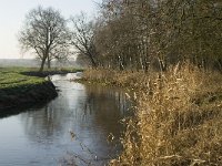 NL, Noord-Brabant, Veldhoven, De Hogt, Dommel 13, Saxifraga-Jan van der Straaten