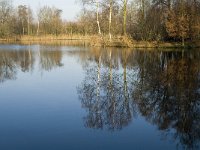 NL, Noord-Brabant, Veldhoven, De Hogt, Kempense Plassen 11, Saxifraga-Jan van der Straaten