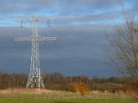 NL, Noord-Brabant, Veldhoven, Dommel valley N of Volmolenweg 1, Saxifraga-Tom Heijnen