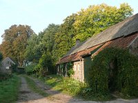 NL, Noord-Brabant, Veldhoven, Kleine Vliet 1, Saxifraga-Tom Heijnen