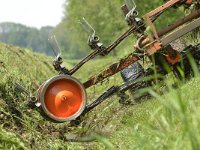 NL, Noord-Brabant, Veldhoven, near Halfmijl 2, Saxifraga-Tom Heijnen