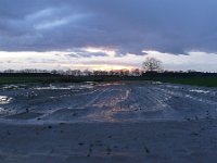 NL, Noord-Brabant, Veldhoven, near Toterfout 1, Saxifraga-Tom Heijnen