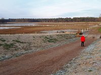 NL, Noord-Brabant, Waalre, Achtereinds Laag 2, Saxifraga-Tom Heijnen