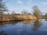 NL, Noord-Brabant, Waalre, Dommel in De Elshouters 3, Saxifraga-Tom Heijnen