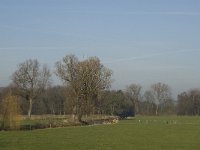 NL, Noord-Brabant, Waalre, Volmolen, Dommel 1, Saxifraga-Jan van der Straaten