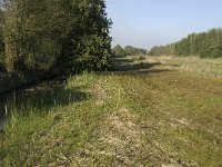 NL, Noord-Brabant, Waalwijk, Labbegat 3, Saxifraga-Jan van der Straaten