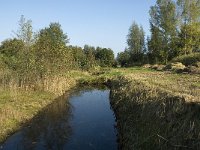 NL, Noord-Brabant, Waalwijk, Labbegat 7, Saxifraga-Jan van der Straaten