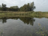 NL, Noord-Brabant, Waalwijk, Meerdijksche Driessen 1, Saxifraga-Jan van der Straaten