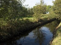 NL, Noord-Brabant, Waalwijk, Meerdijksche Driessen 8, Saxifraga-Jan van der Straaten