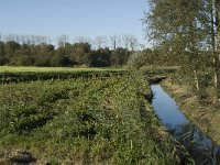 NL, Noord-Brabant, Waalwjk, Den Dulver 1, Saxifraga-Jan van der Straaten