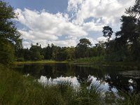 NL, Noord-Brabant, Woensdrecht, Grote Meer 1, Saxifraga-Roel Meijer  Forest pond in nature reserve Grote Meer, Woensdrecht, North Brabant, Netherlands : forest, Grote Meer, natural, nature, nature reserve, rural landscape, tree, woodland, mirroring, reflection