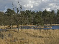 NL, Noord-Brabant, Woensdrecht, de Zoom, Bronven 2, Saxifraga-Jan van der Straaten