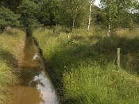 NL, Noord-Brabant, Zundert, Zoeksche Loop 1, Saxifraga-Jan van der Straaten