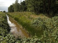 NL, Noord-Brabant, Zundert, Zoeksche Loop 3, Saxifraga-Jan van der Straaten