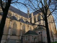 NL, Noord-Holland, Alkmaar, Grote Sint-Laurenskerk 1, Saxifraga-Tom Heijnen