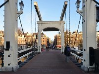 NL, Noord-Holland, Amsterdam, Magere Brug 1, Saxifraga-Tom Heijnen