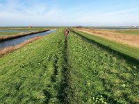 NL, Noord-Holland, Bergen, Hargervaart 2, Saxifraga-Tom Heijnen