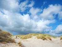 NL, Noord-Holland, Bergen, Schoorl 5, Saxifraga-Dirk Hilbers