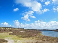 NL, Noord-Holland, Bergen, Schoorl 7, Saxifraga-Dirk Hilbers