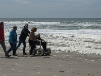 NL, Noord-Holland, Bergen, Schoorl, Strand 3, Saxifraga-Jan van der Straaten