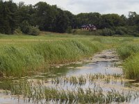 NL, Noord-Holland, Bloemendaal, Overveen, zanderijvaart 1, Saxifraga-Piet Munsterman