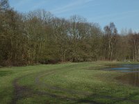 NL, Noord-Holland, Castricum, Noordhollands Duinreservaat, Schapenweg 1, Saxifraga-Jan van der Straaten