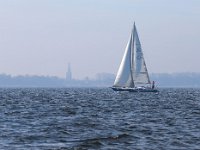 NL, Noord-Holland, Enkhuizen, IJsselmeer 2, Saxifraga-Bart Vastenhouw