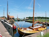 NL, Noord-Holland, Openluchtmuseum Enkhuizen 1, Saxifraga-Tom Heijnen