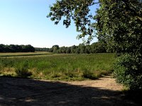 NL, Noord-Holland, Gooise Meren, Naarden, Naarder Eng 1, Saxifraga-Hans Dekker