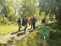 NL, Noord-Holland, Haarlem, Kennemerduinen 5, Foto Fitis-Sytske Dijksen