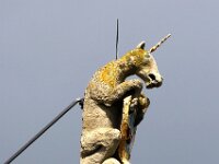 NL, Noord-Holland, Hoorn 3, Saxifraga-Foto Fitis-Sytske Dijksen