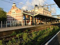 NL, Noord-Holland, Hoorn, station 1, Saxifraga-Foto Fitis-Sytske Dijksen