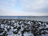 NL, Noord-Holland, Huizen, Huizerpier 1, Saxifraga-Bart Vastenhouw