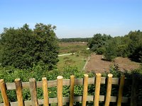 NL, Noord-Holland, Huizen, Tafelberg 12, Saxifraga-Hans Dekker