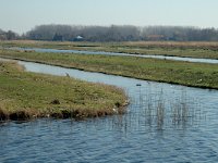 NL, Noord-Holland, Oostzaan, Polder Oostzaan 11, Saxifraga-Marijke Verhagen