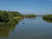 NL, Noord-Holland, Schagen, Zijpe, Zwanenwater 9, Saxifraga-Jan van der Straaten