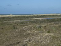 NL, Noord-Holland, Texel, Bertusnol 7, Saxifraga-Willem van Kruijsbergen