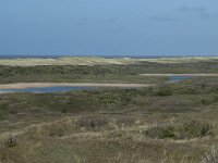 NL, Noord-Holland, Texel, Bertusnol 9, Saxifraga-Willem van Kruijsbergen