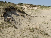 NL, Noord-Holland, Texel, Bollekamer 18, Saxifraga-Jan van der Straaten