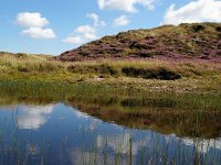 NL, Noord-Holland, Texel, Bollekamer 2, Foto Fitis-Sytske Dijksen